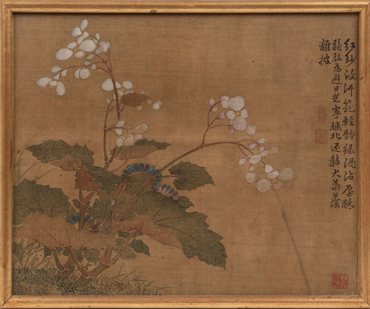 Cina, dinastia Qing, Sette dipinti su seta con fiori