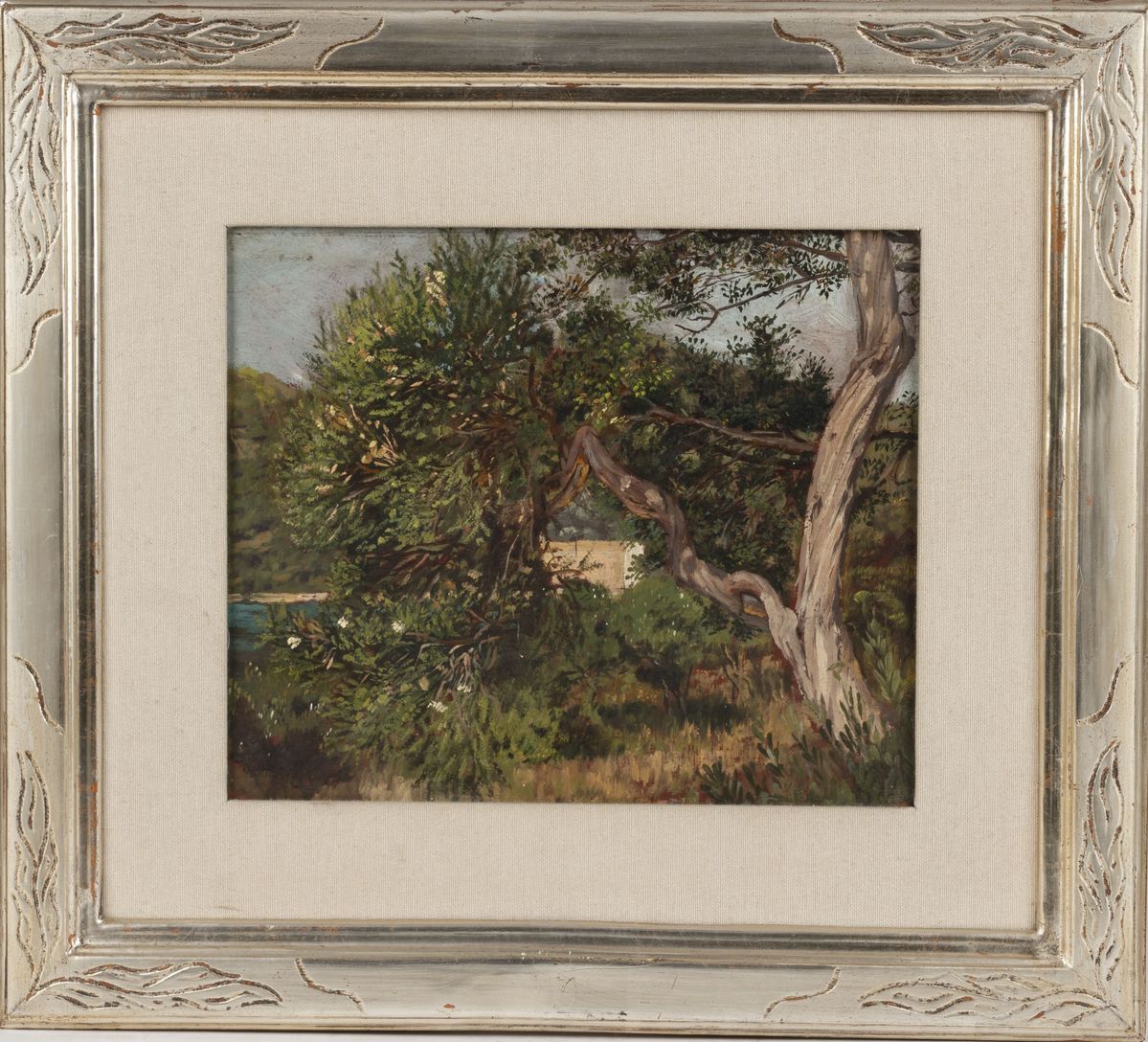 Max Roeder - Ischia, l'albero di mirto, olio su cartone