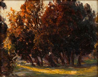 Parco in autunno, olio su cartone