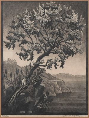 Carrubba Tree