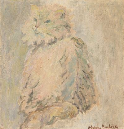 Il Gatto cincione, olio su tela