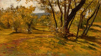 Paesaggio - olio su tavola