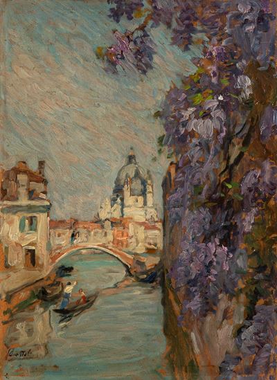 Glicine a Venezia
