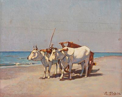 Buoi sulla Spiaggia