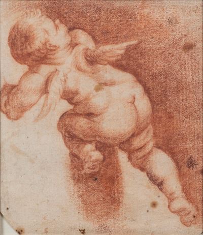 Studio di putto, sanguigna su carta
