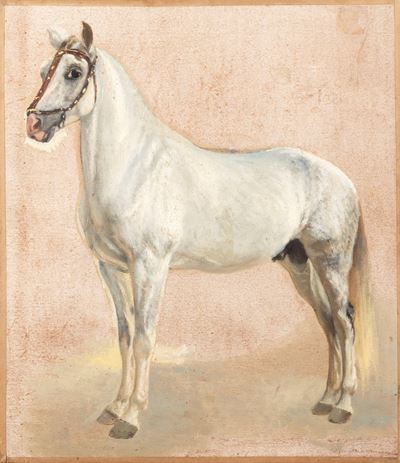 Cavallo Bianco