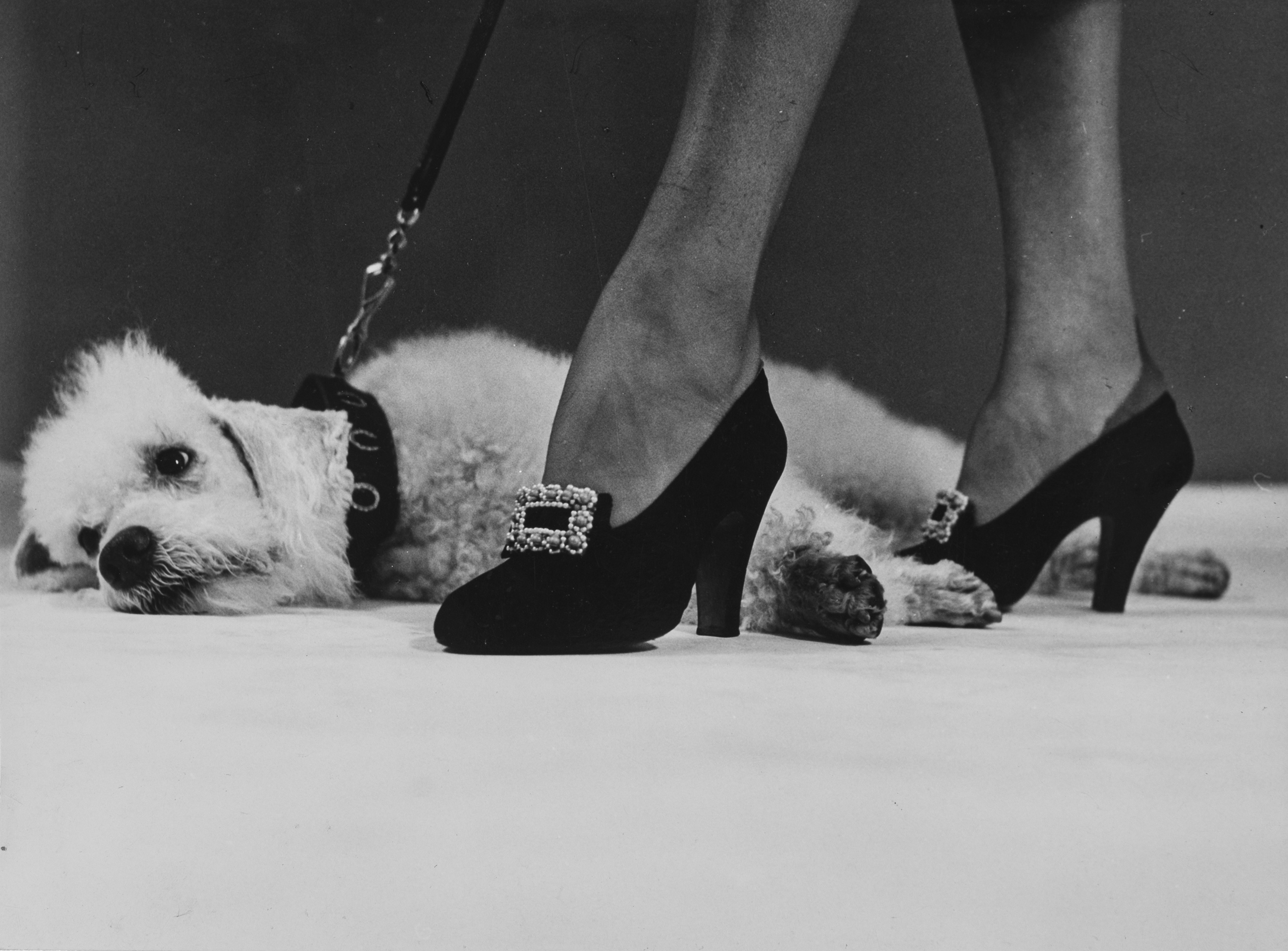 Senza titolo (Scarpe)