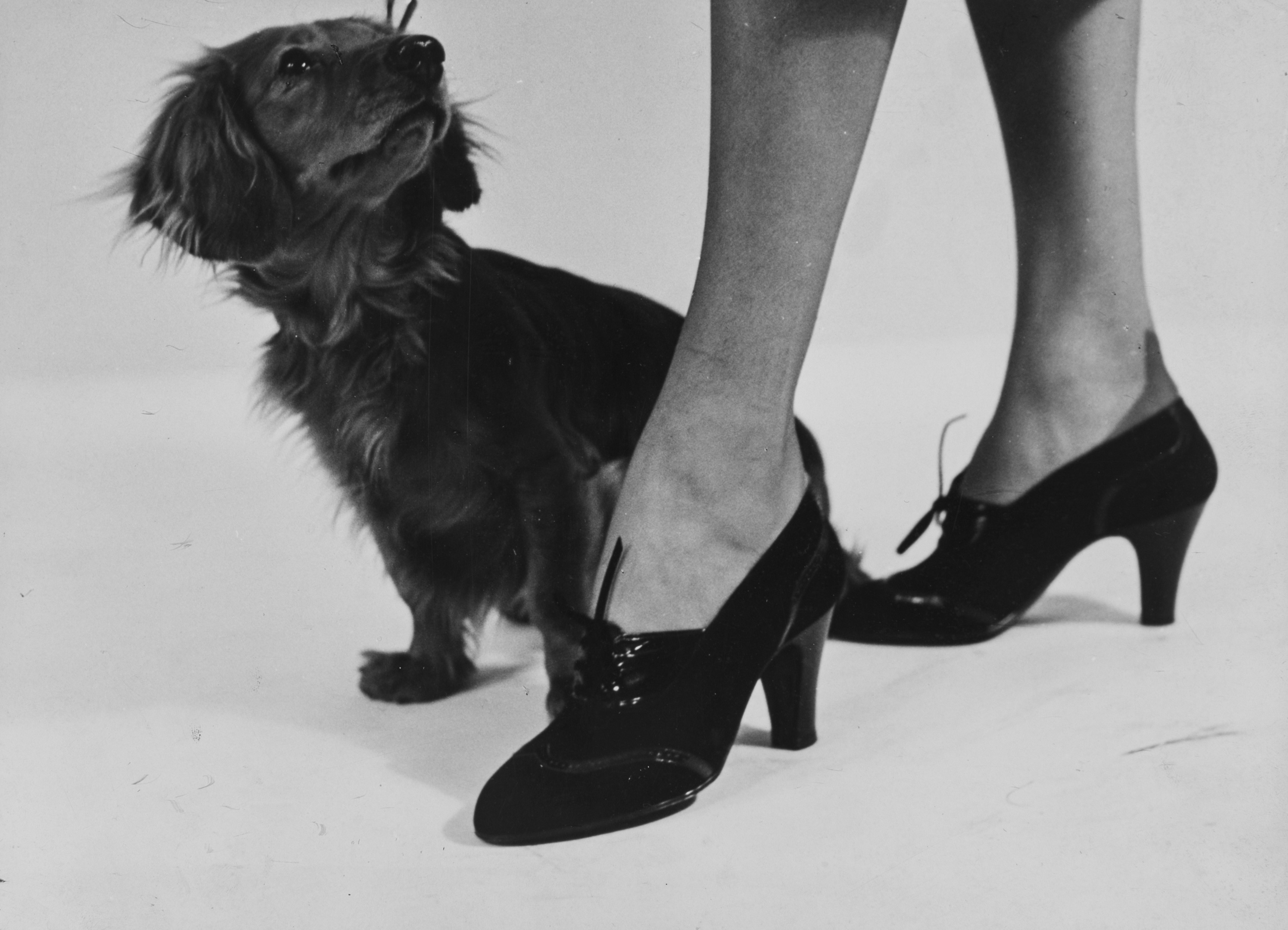 Senza titolo (Scarpe)