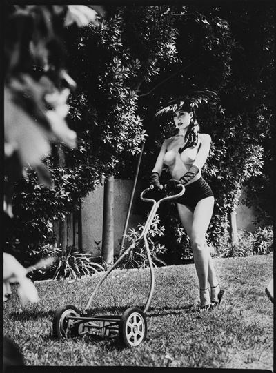 1950s Hollywood Glamour Housewife