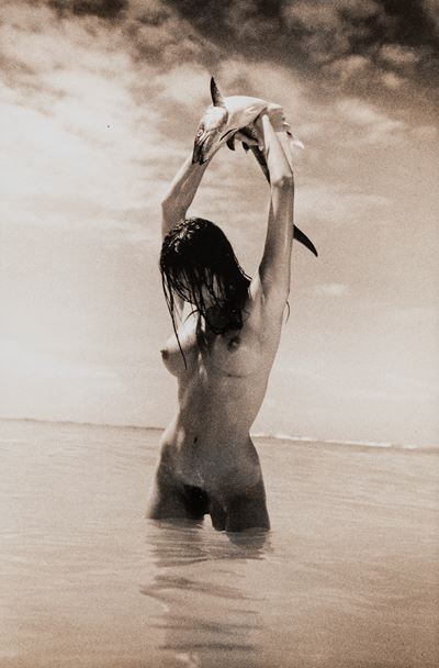 Elsa, Saint Lucia, Caribbean Islands - Stampa vintage alla gelatina ai sali d'argento