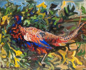 Pheasant