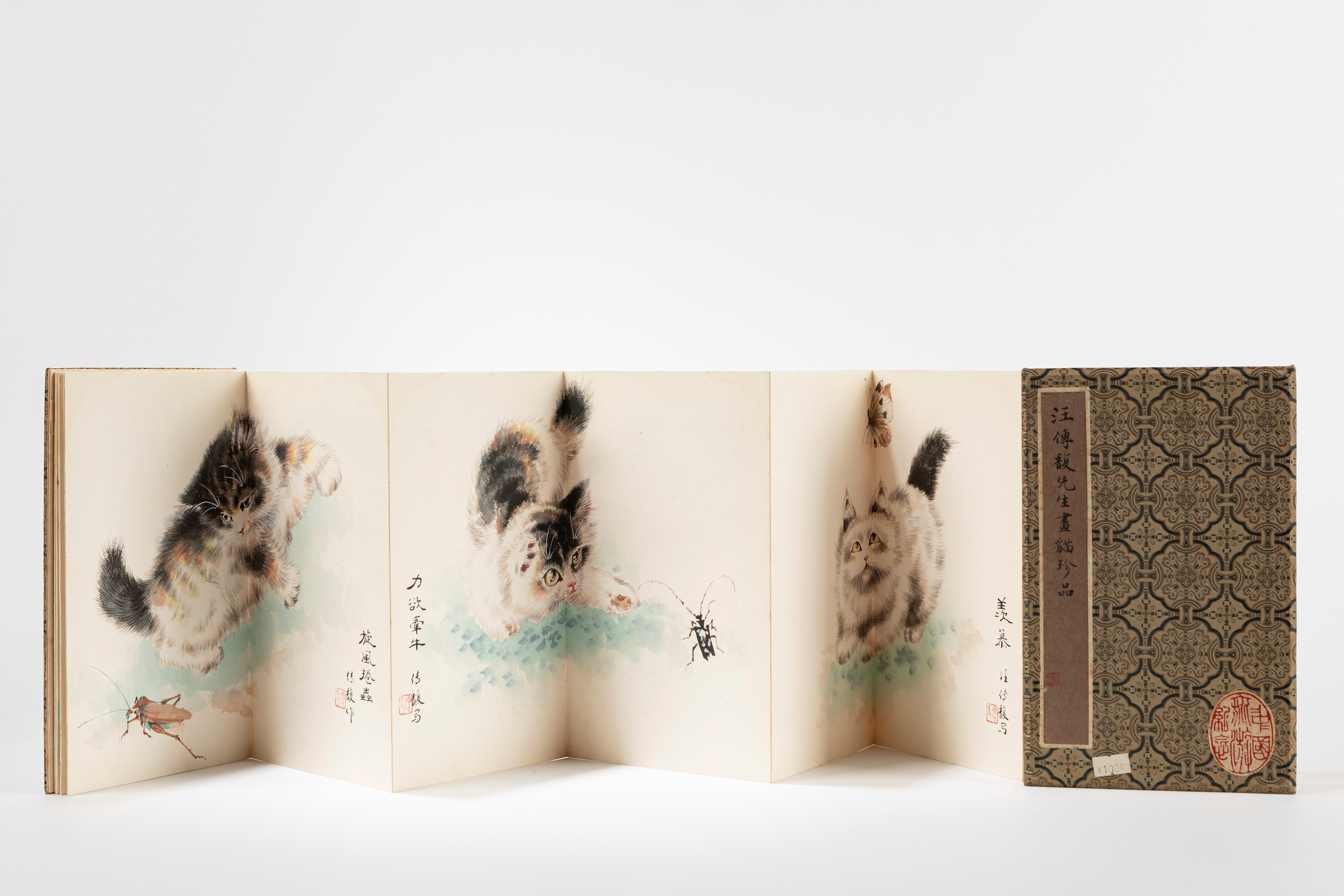 Volume contenente acquarelli di gatti, Cina, secolo XX