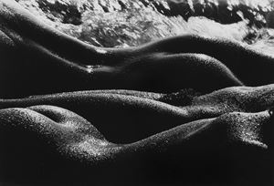 Les Geantes, Camargue