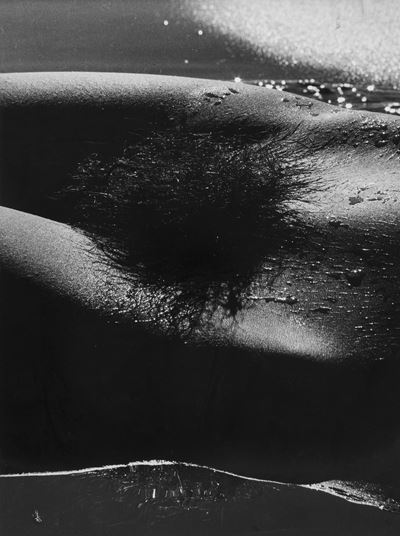 Genèse, Camargue, stampa alla gelatina ai sali d'argento (1982)