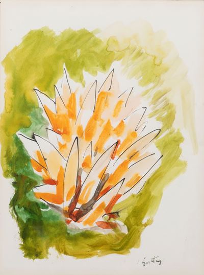 Agave
