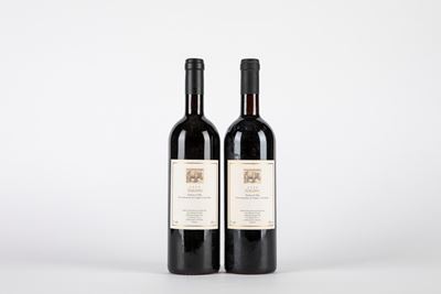 La Spinetta Vigneto Gallina Barbera D'alba (2 Bt)