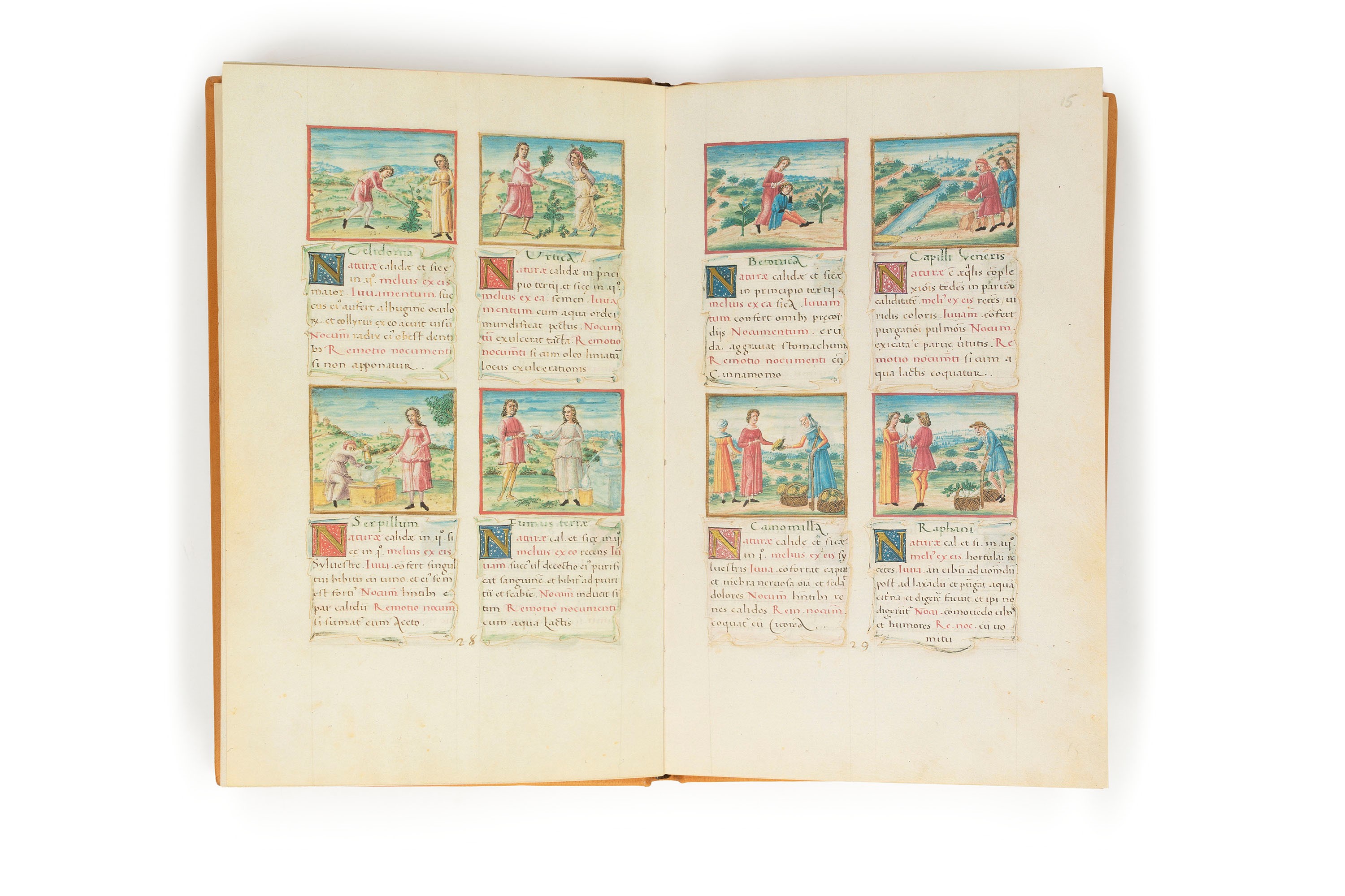 Tacuinum Sanitatis, Codex Vindobonensis 2396 - Riproduzione facsimile, 1984