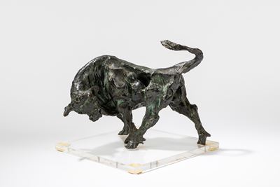 Toro