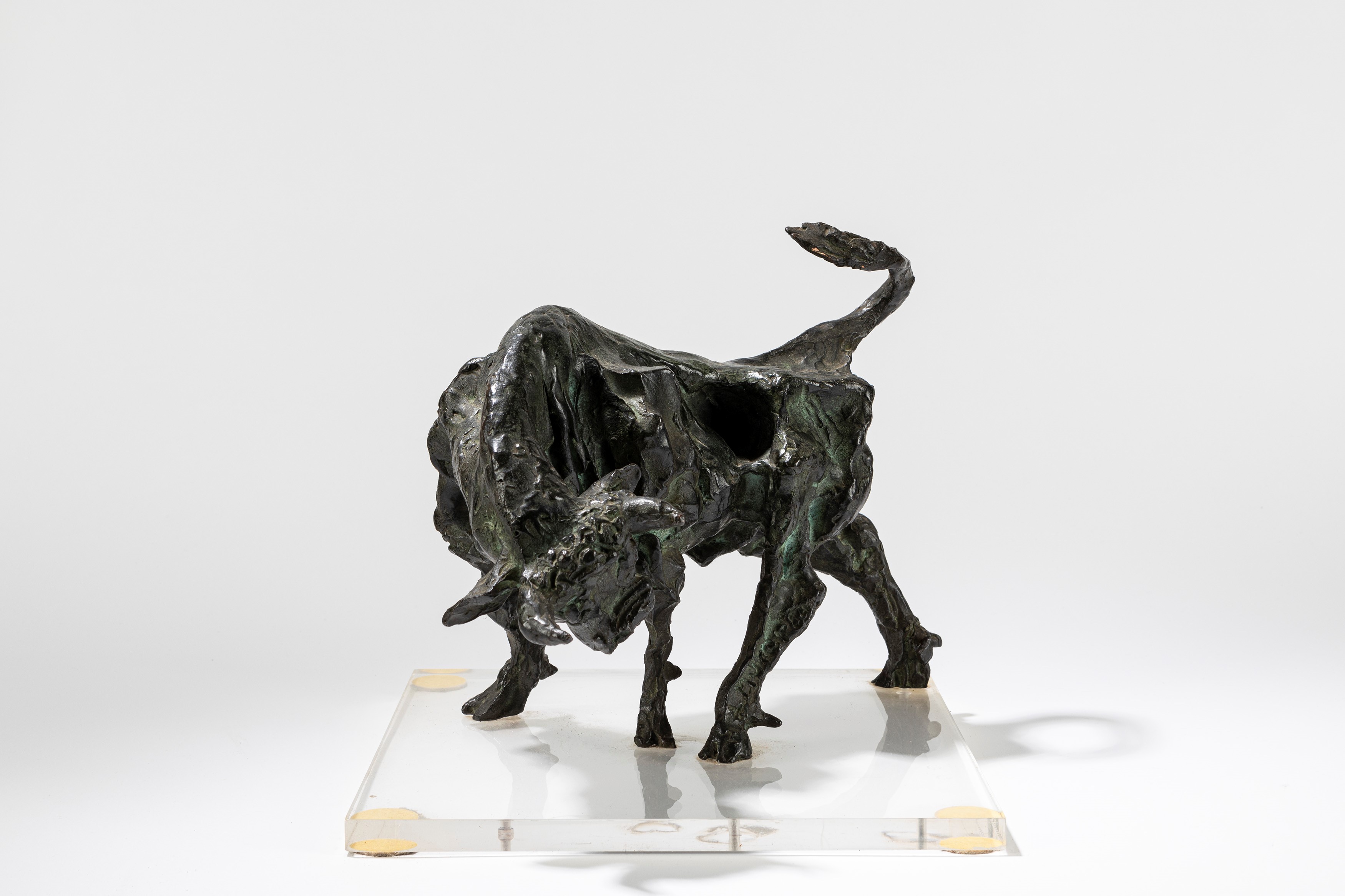Augusto Murer - Toro