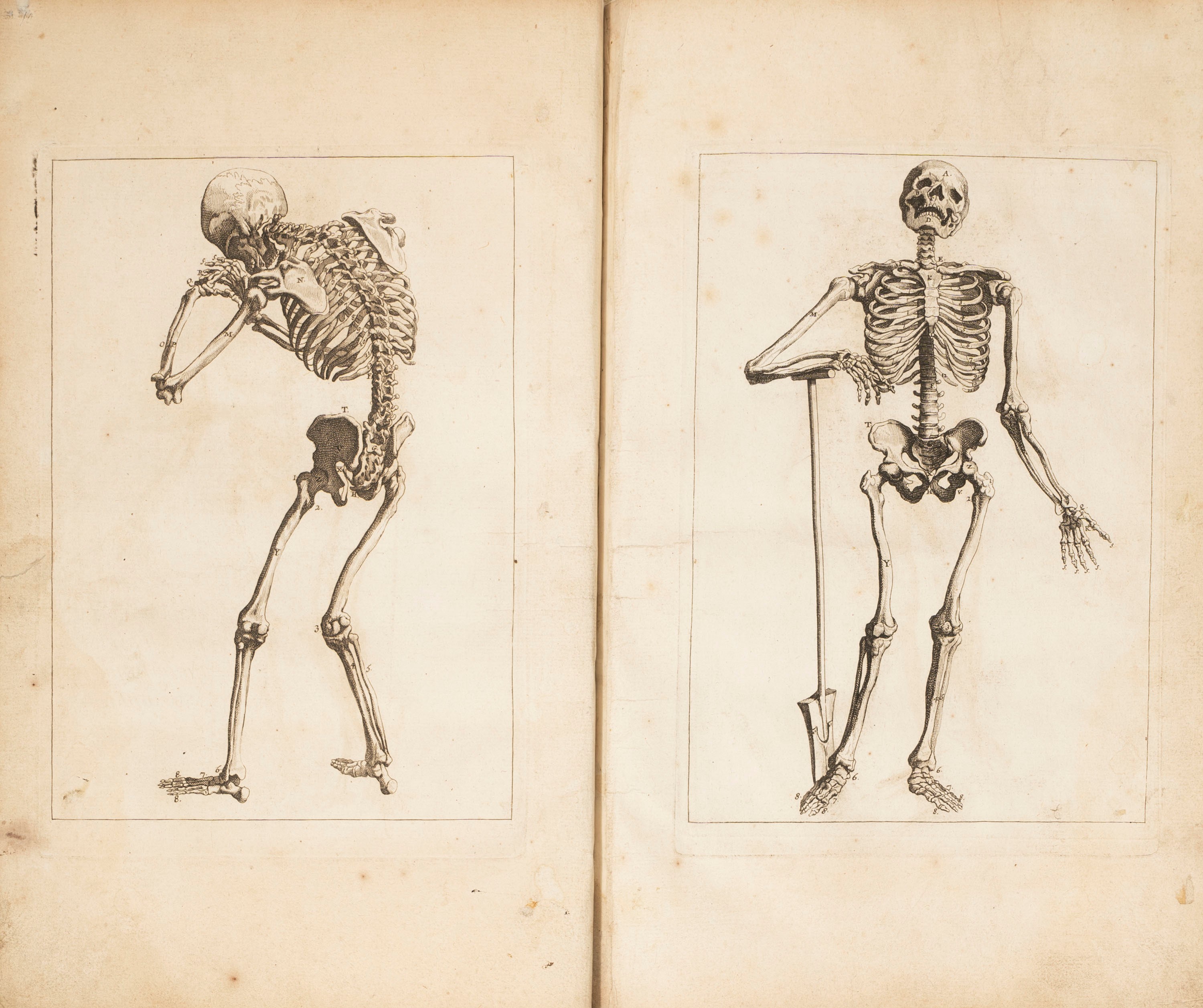 François Tortebat - Brégé d'anatomie accommodé aux arts de peinture et de sculpture, 1760