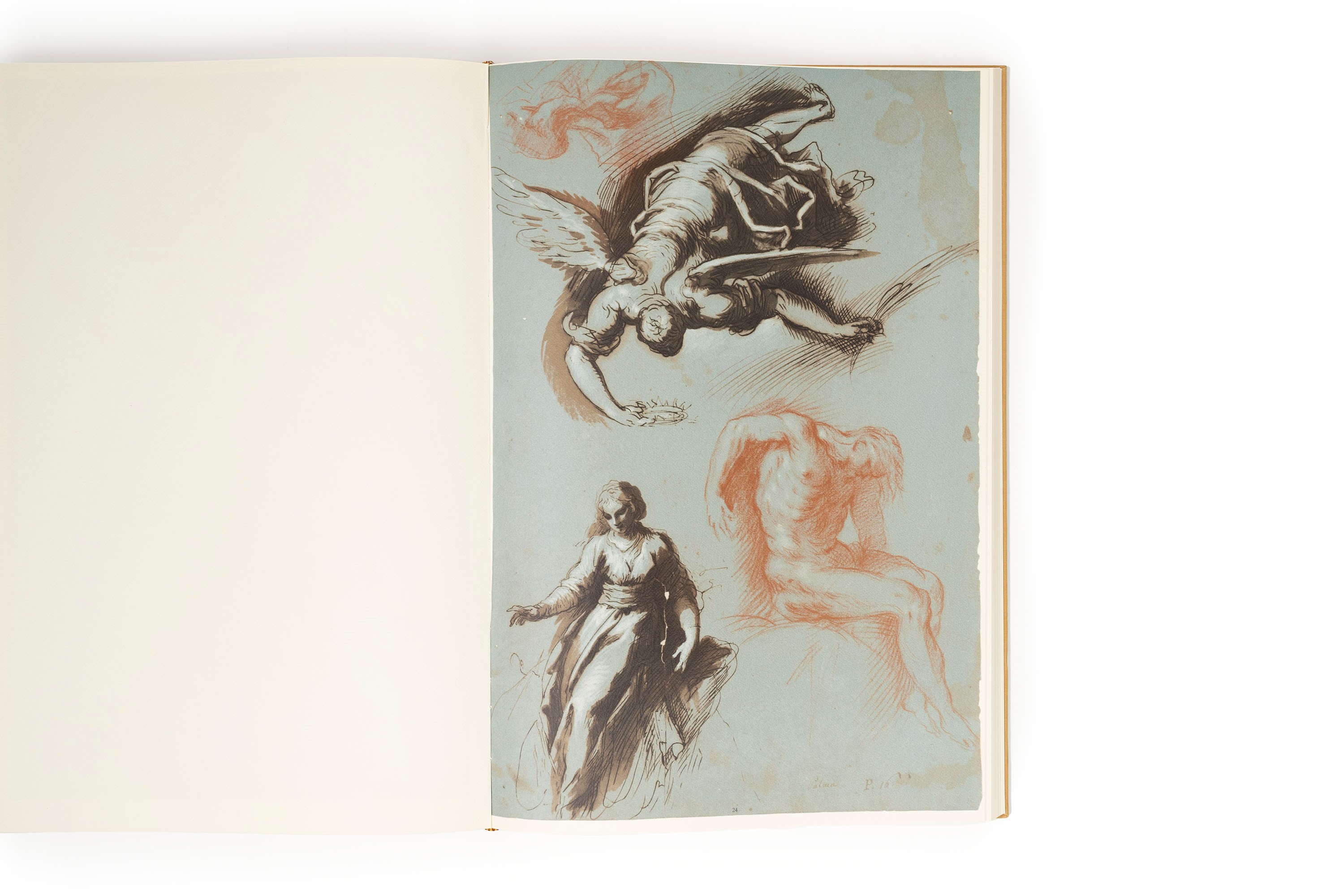 Jacopo Palma il Giovane, Il Libro dei Disegni all'Accademia di S. Luca