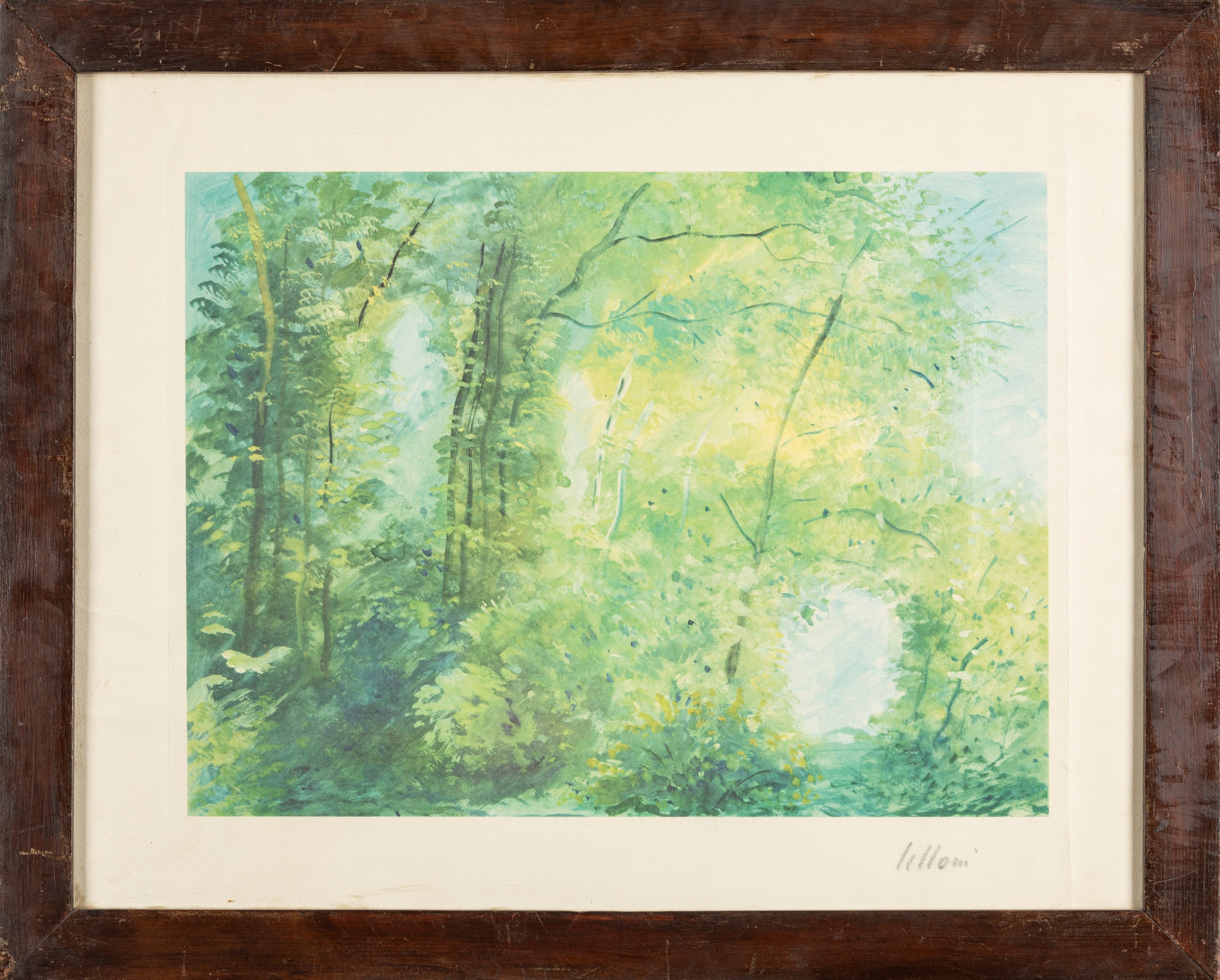 Umberto Lilloni - Bosco - Litografia
