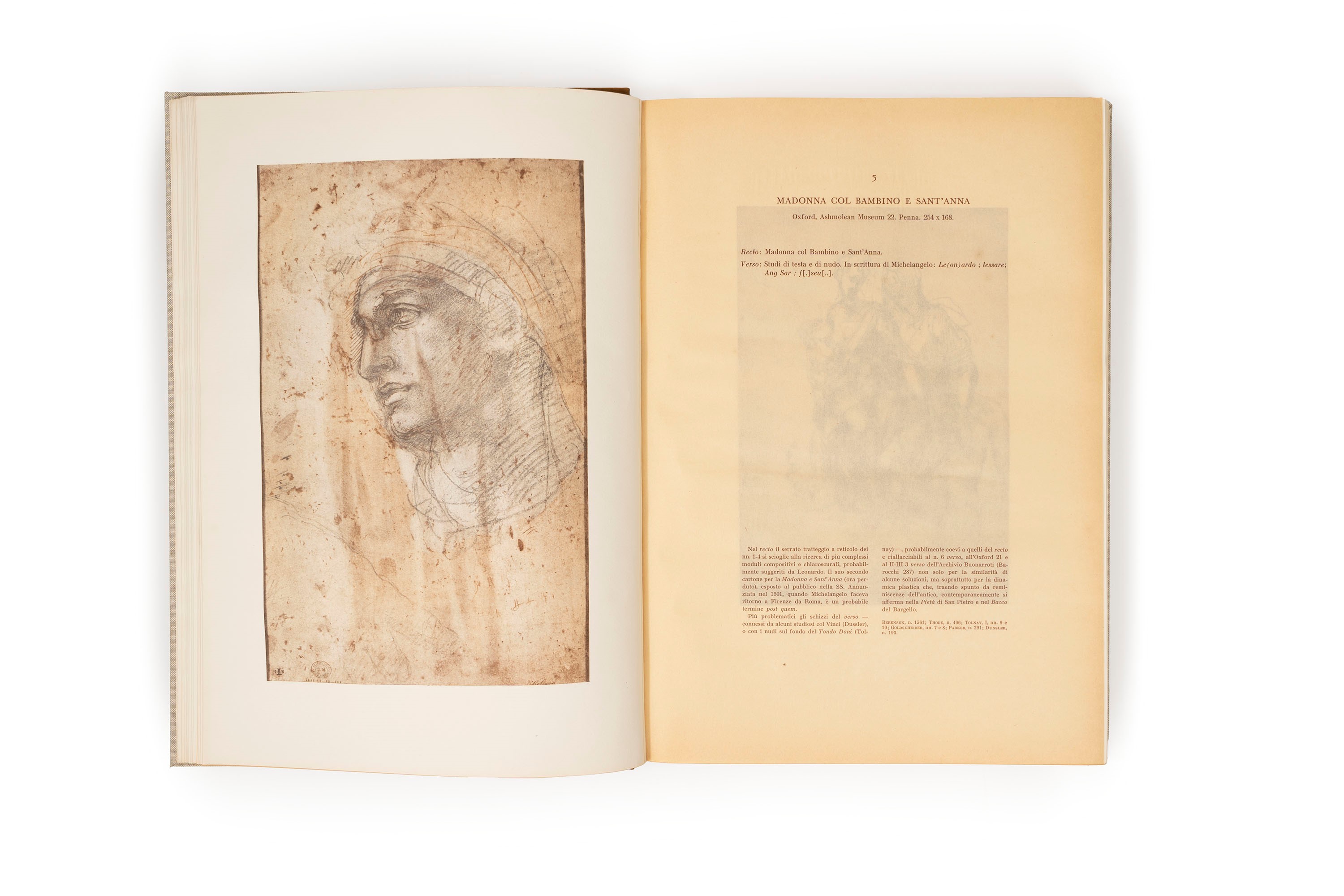 Michelangelo Buonarroti - Disegni di Michelangelo