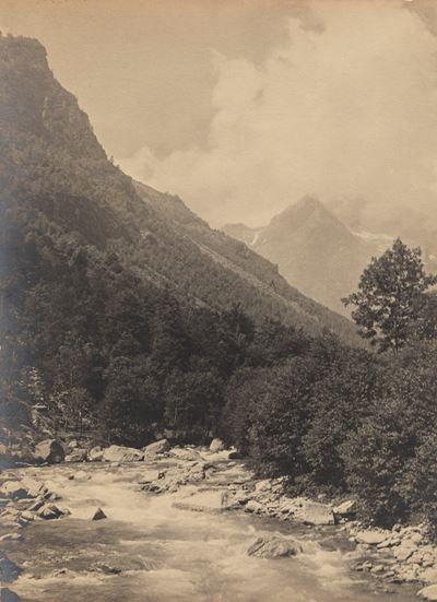 Armonie Alpestri