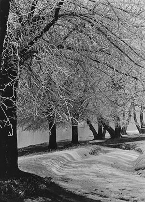 Mario Giacomelli - Omaggio a Spoon River 1968/1973