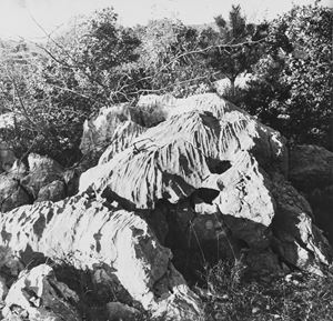 Aspetti della superficie Carsica nella zona di Trieste