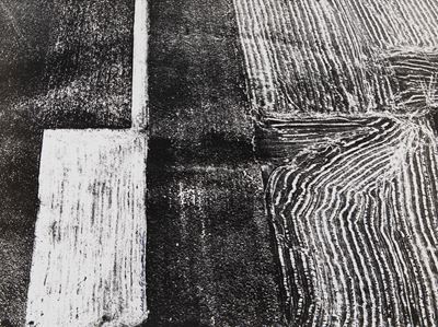 Presa di coscienza sulla natura, Stampa vintage alla gelatina ai sali d'argento