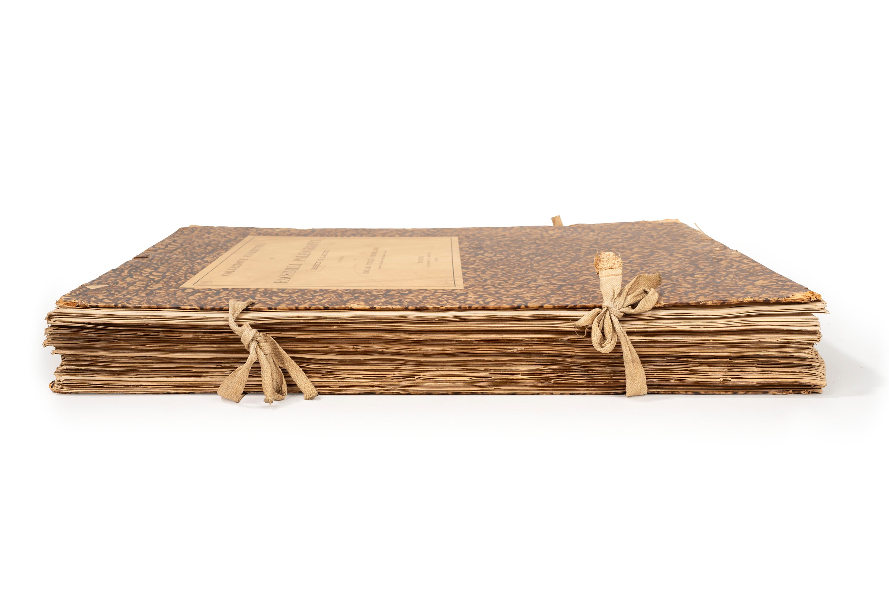 Girolamo Vitelli e Cesare Paoli, Collezione Fiorentina di Facsimili Paleografici Greci e Latini