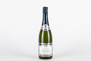 Champagne Trujillo-Pottevin Brut