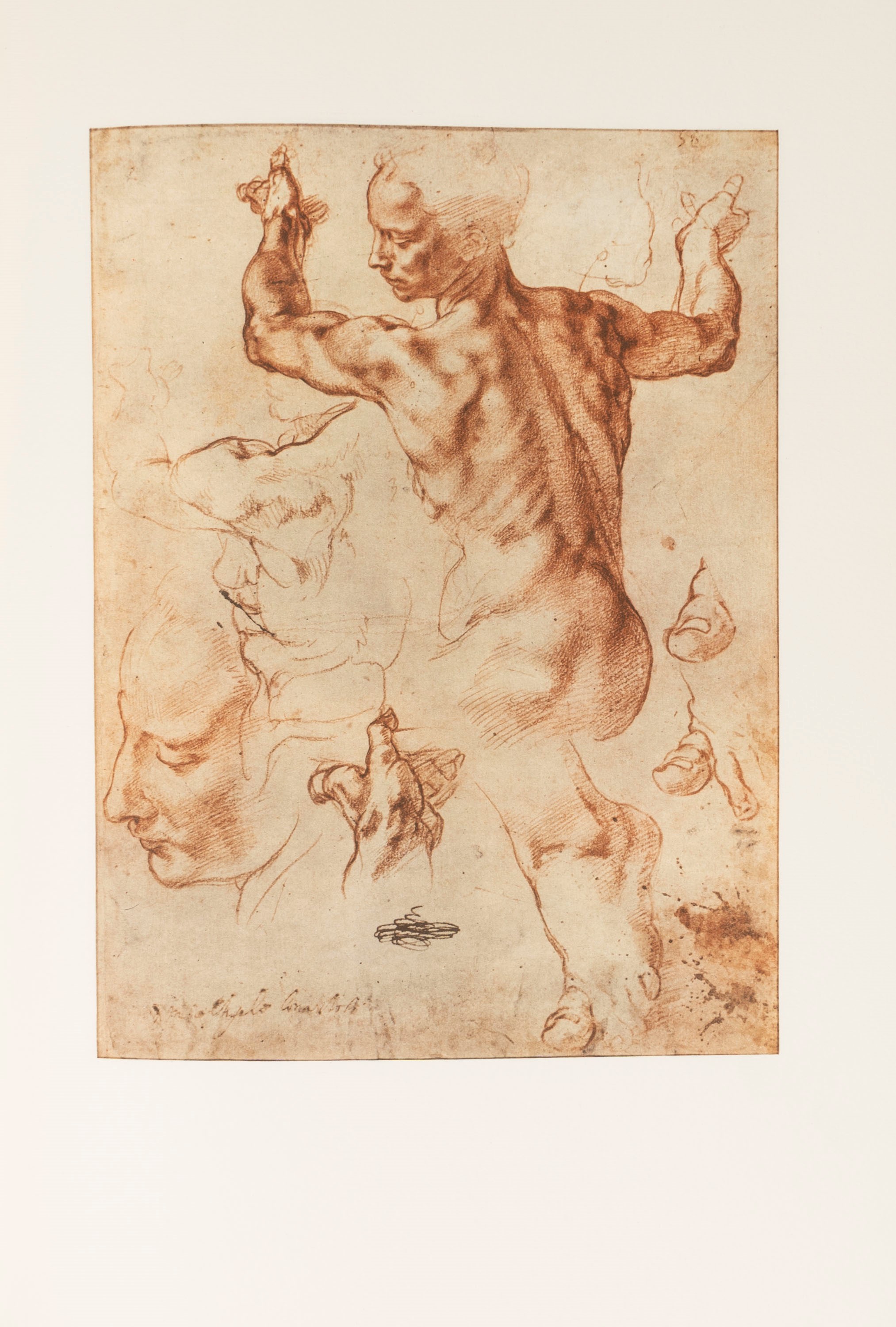 Michelangelo Buonarroti - I Disegni - Edizione 1964 con 103 riproduzioni a colori
