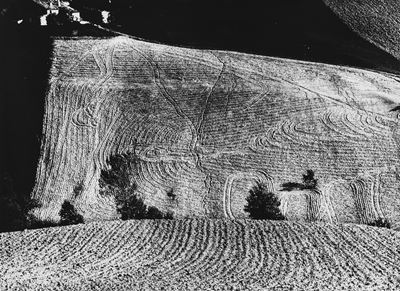 Presa di coscienza sulla natura, stampa vintage alla gelatina ai sali d'argento