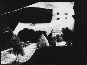 Presa di coscienza sulla natura