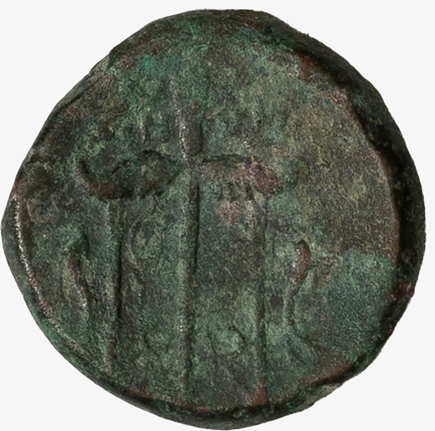 Sicilia, Siracusa, Gerone II, 274-216 a.C. - GERONE II di Siracusa, Tetras databile al 269-263 a....