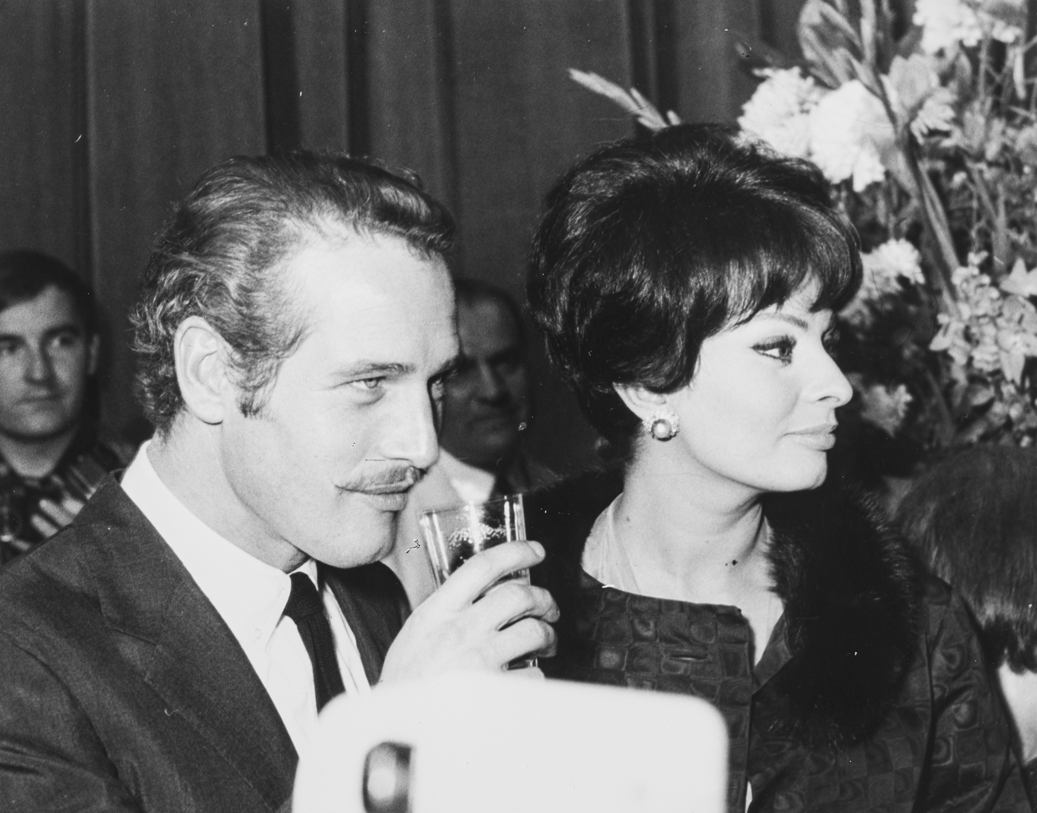 Anonimo - Sophia Loren