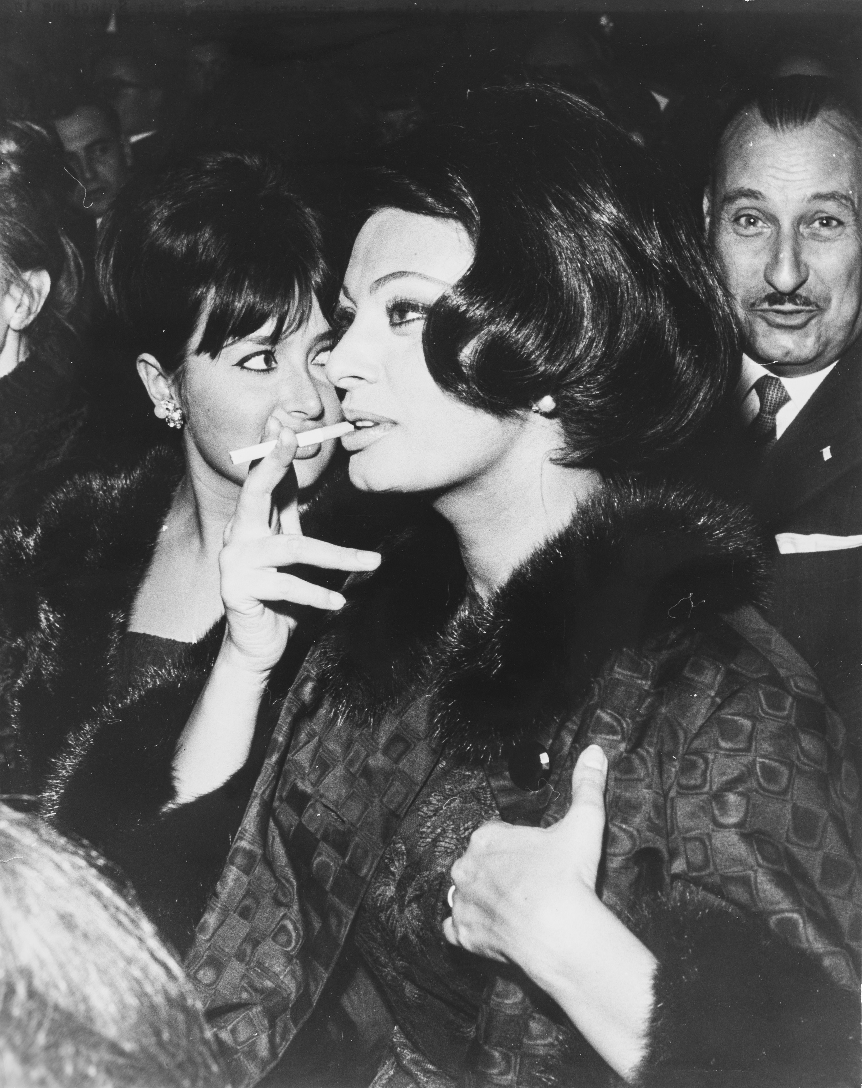 Anonimo - Sophia Loren