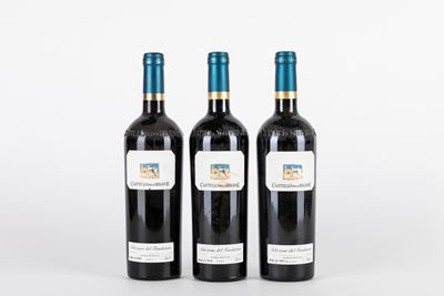 Castello delle Regine, Selezione del Fondatore (3 Bt)
