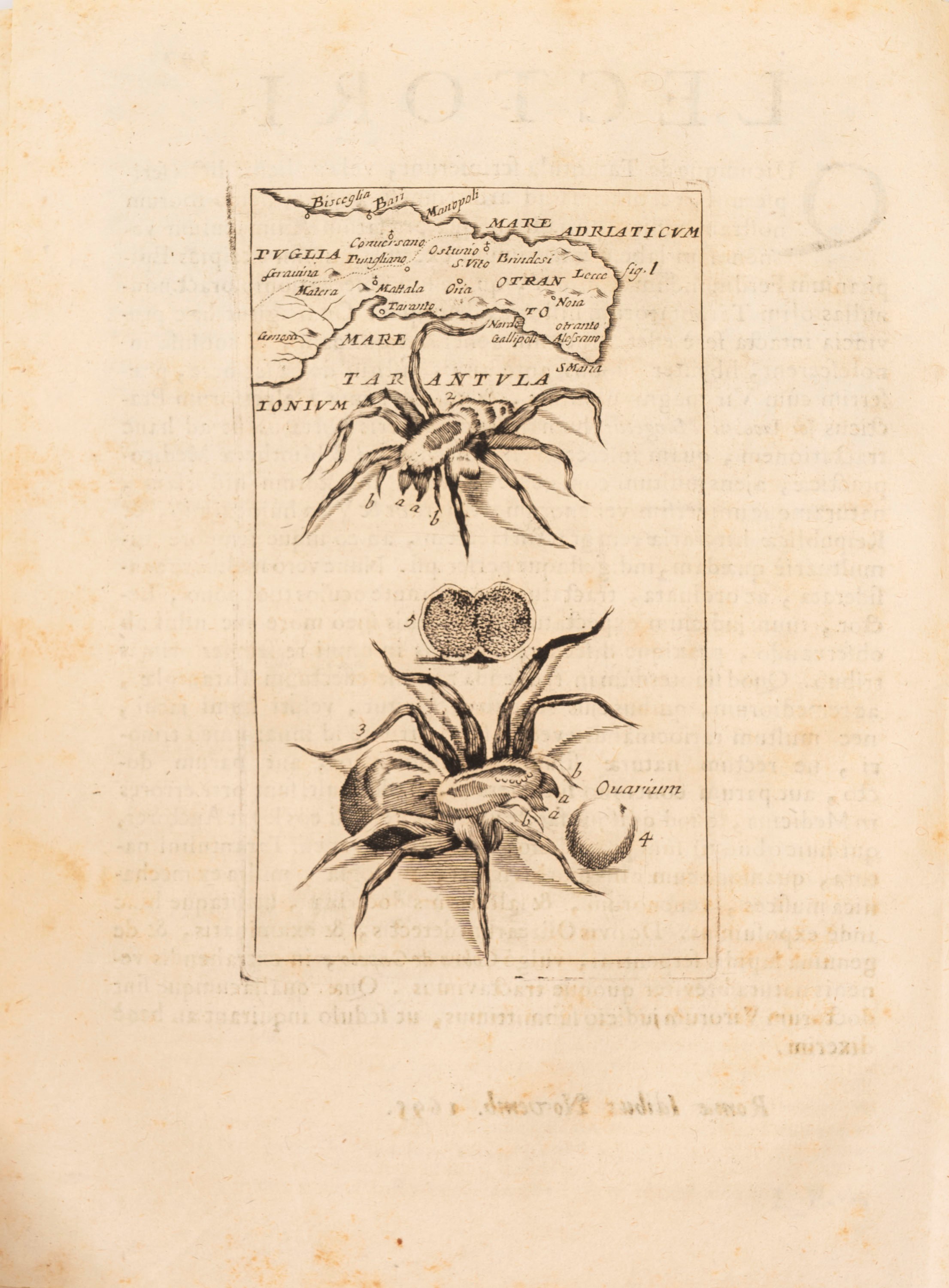 Giorgio Baglivi - Opera omnia medico - pratica et anatomica