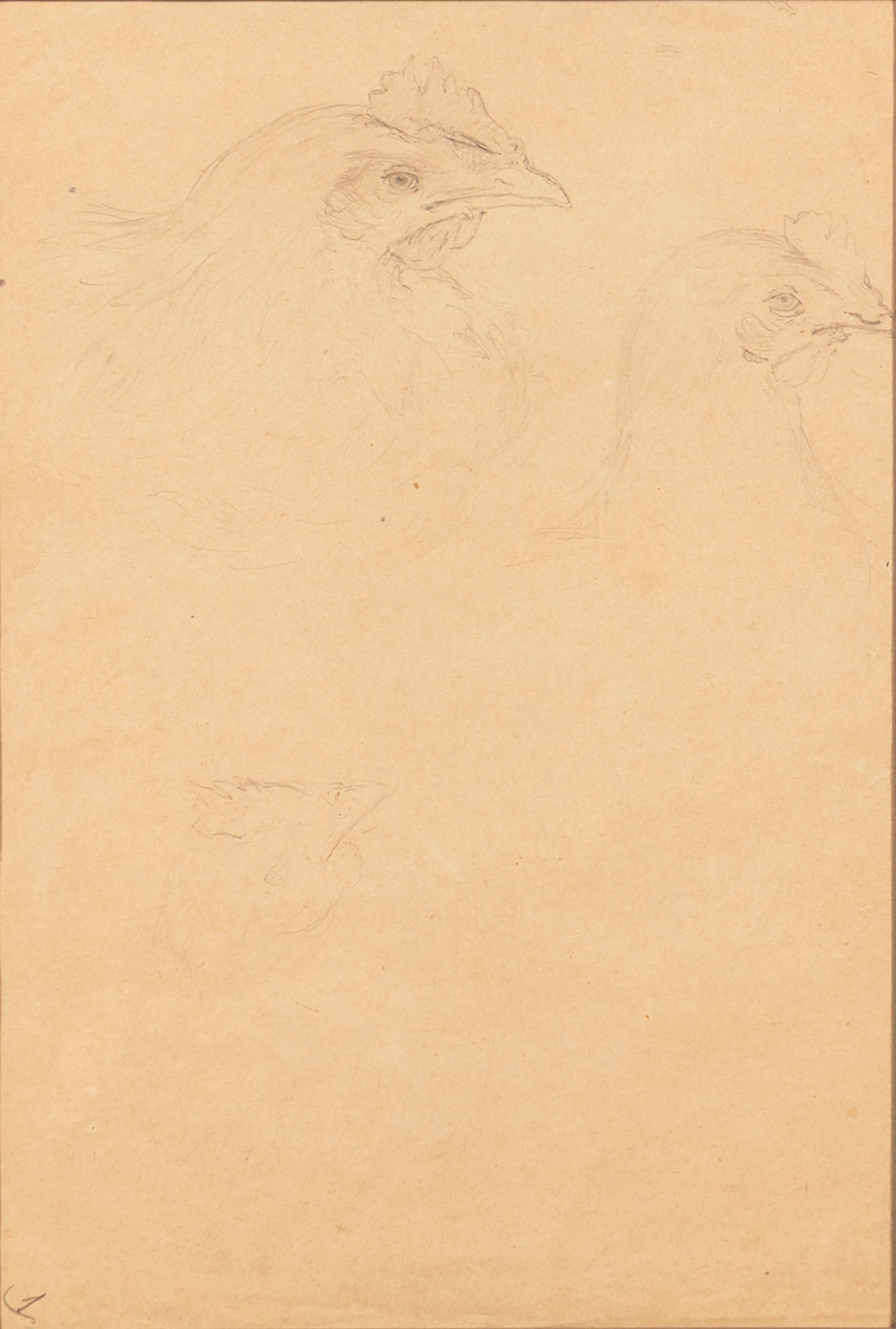 Filippo Palizzi - Studi di Gallina