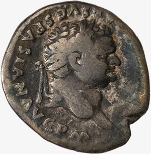 Denario databile al 79 d.C.