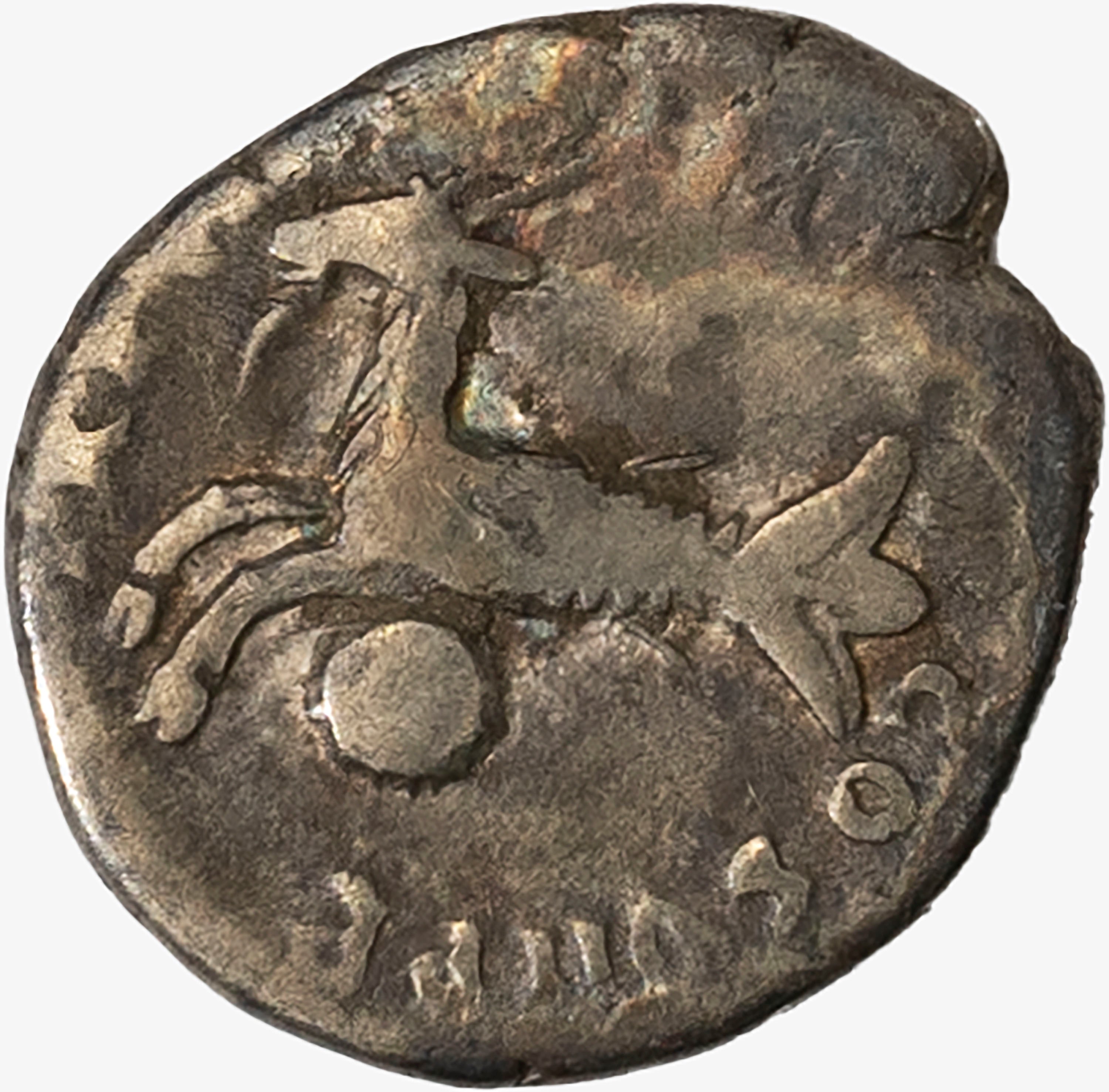 Impero Romano, Tito, 79-81 D.C. - Impero Romano, Denario con ritratto di Tito (79-81 d.C.)