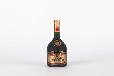 Napoleon Grand Empereur