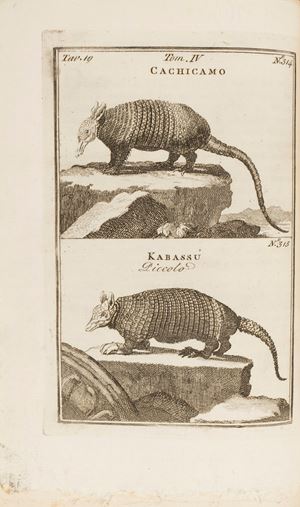 Il Buffon per l'adolescenza ossia Compendio dell'intera storia dei tre Regni della Natura