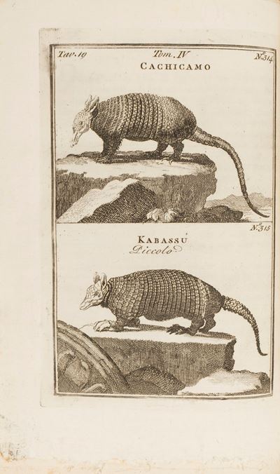Il Buffon per l'adolescenza ossia Compendio dell'intera storia dei tre Regni della Natura