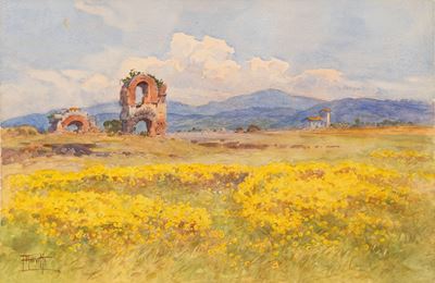 Rovine in un Campo di Tarassaco