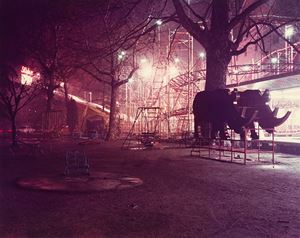 Barbieri Olivo - Reggio Emilia