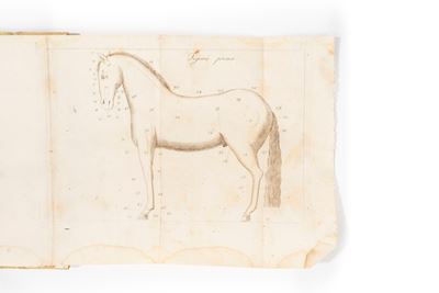 Trattato della conoscenza del cavallo, Napoli, 1824